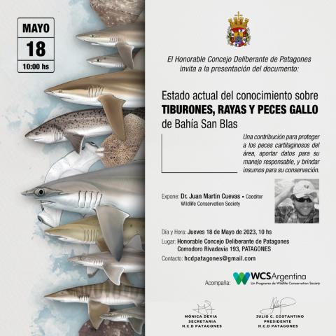 EL HCD PATAGONES INVITA A LA PRESENTACIÓN DE UN DOCUMENTO SOBRE TIBURONES, RAYAS Y PECES GALLO.